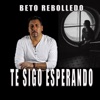 Te Sigo Esperando - Single