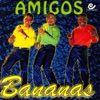 Amigos, 2000