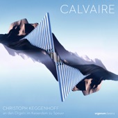 Calvaire artwork