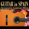 Guitar in Spain. Acoustic Guitar Hits, 2010