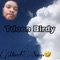 Right Back (feat. Tuda, Gooney & StackaaBabyy) - Tdoee Birdy lyrics