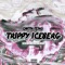 Trippy Iceberg - Captn Teno lyrics