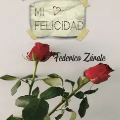 Mi felicidad - Single by Federico Zárate album reviews, ratings, credits