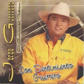 Guerrero sigue cantando artwork