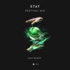 Stay (Festival Mix) - Single