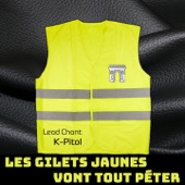 Les gilets jaunes vont tout péter artwork