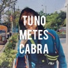 Tú No Metes Cabra - Single