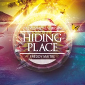 The Hiding Place artwork