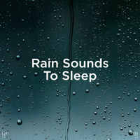 Rain Sounds & Rain for Deep Sleep - !!