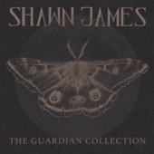 The Guardian Collection artwork