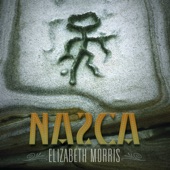 Nazca artwork