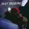 Just Breathe - Single album lyrics, reviews, download