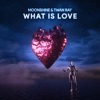 What is Love by Moonshine iTunes Track 1