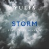 Storm (feat. Sergey Ignatov) - Single