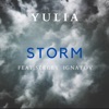 Storm (feat. Sergey Ignatov) - Single, 2016