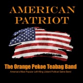 The Orange Pekoe Teabag Band - The 2nd Amendment Song