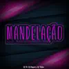 Mandelação do Megatron (feat. Dj Helan, Dj Elayson) - Single album lyrics, reviews, download