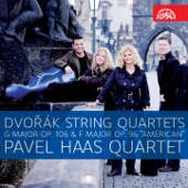 String Quartet No. 12 in F Major, Op. 96, B. 179 "American": IV. Finale. Vivace ma non troppo by Antonín Dvořák