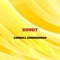 Bundt - Carroll Zimmerman lyrics