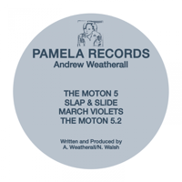 Andrew Weatherall - Pamela #1 - EP artwork