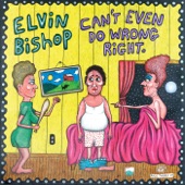 Elvin Bishop - Everybody's In The Same Boat