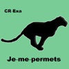 Je me permets - Single