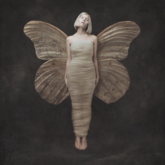 Cover artwork for Wisdom Cries