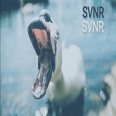 SVNR - EP artwork
