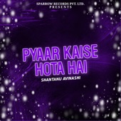 Pyaar Kaise Hota Hai artwork