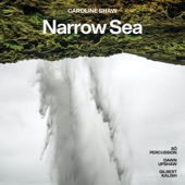 Caroline Shaw: Narrow Sea - EP artwork