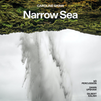 So Percussion, Gilbert Kalish & Dawn Upshaw - Caroline Shaw: Narrow Sea - EP artwork
