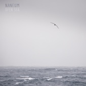Naneum - Accretion