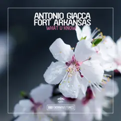 What U Know - EP by Antonio Giacca & Fort Arkansas album reviews, ratings, credits