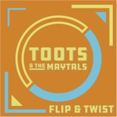 Flip & Twist artwork