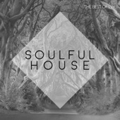 Best of LW Soulful House III artwork