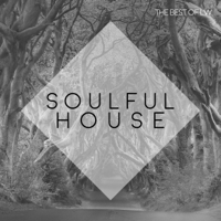 Various Artists - Best of LW Soulful House III artwork
