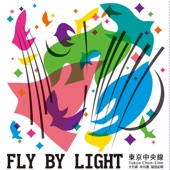 Fly by Light artwork