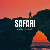 Safari (Instrumental) artwork
