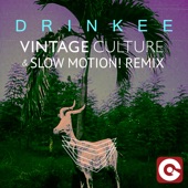 Sofi Tukker - Drinkee (Vintage Culture & Slow Motion! Remix)