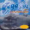 Grupo Pegasso