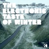 The Electronic Taste of Winter (Tasty & Deep Tech-House & Techno Slices)
