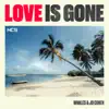 Love Is Gone song lyrics