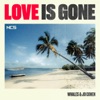 Love Is Gone - Single