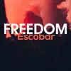 Freedom - Single album lyrics, reviews, download