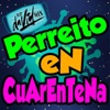 Dj David Mix - Perreito en Cuarentena