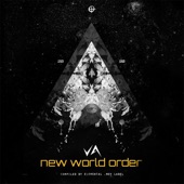 New World Order 2020 - v1 artwork