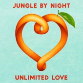 Unlimited Love artwork