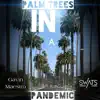 Palm Trees In a Pandemic song lyrics