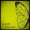 Sam Pence - Seagulls