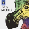 Noukilla - Sekirite lavi